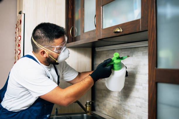 Best Best Pest Control Companies  in Cologne, NJ