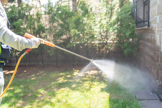 Reliable Cologne, NJ Pest Control Solutions
